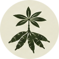 Brazilian Roots
