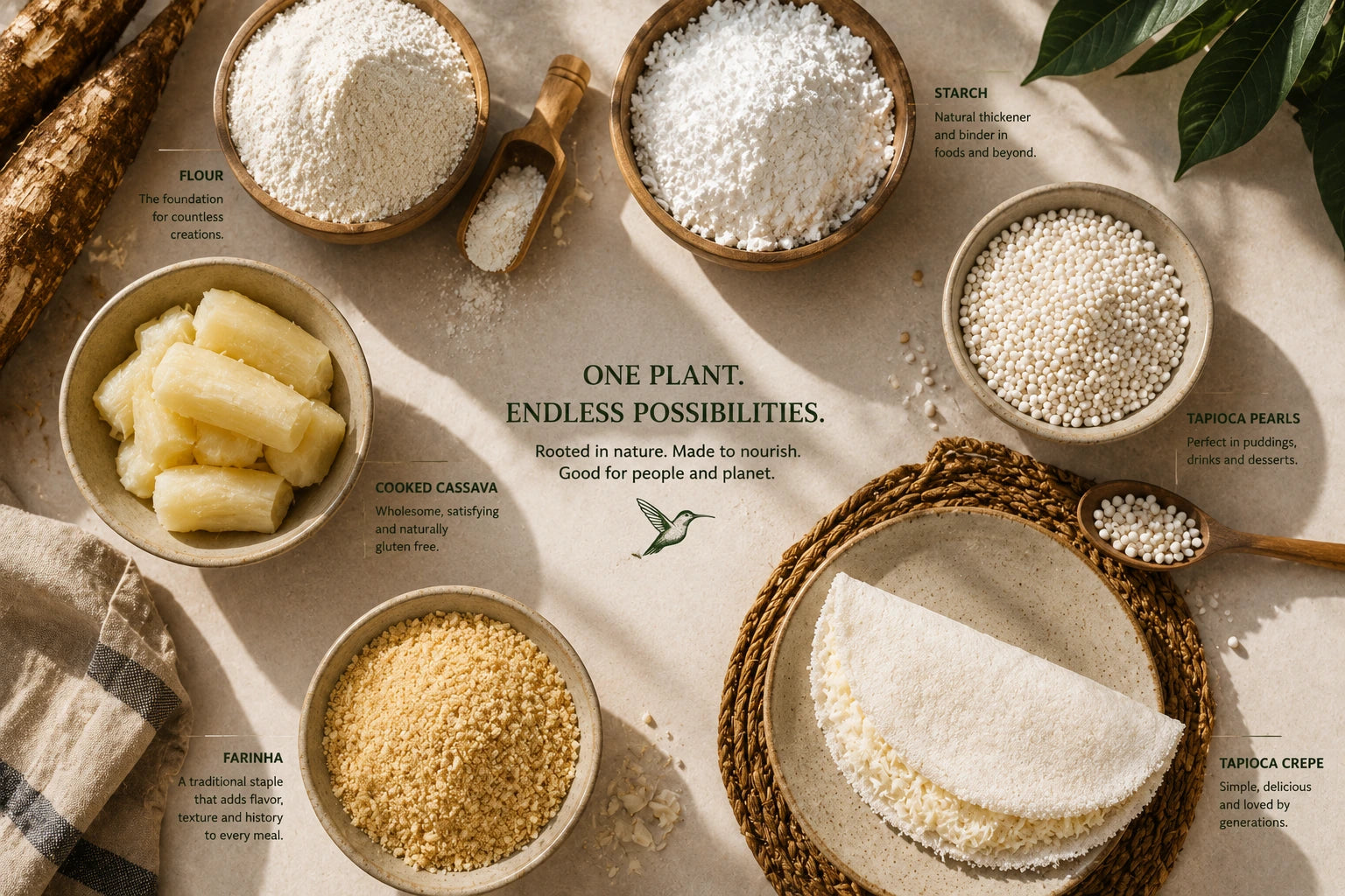 Cassava flour, starch, tapioca pearls, cooked cassava, farinha and tapioca crepe